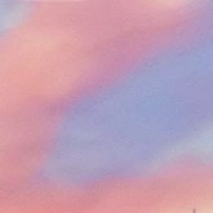 Meet your Posher, Katy